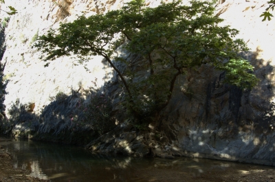 DSC_0084.jpg