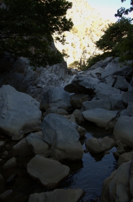 DSC_0086.jpg