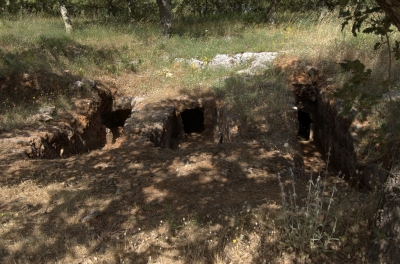 DSC_0098.jpg