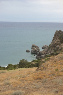 DSC_0117.jpg