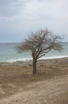 DSC_0119.jpg