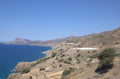 DSC_0133.jpg