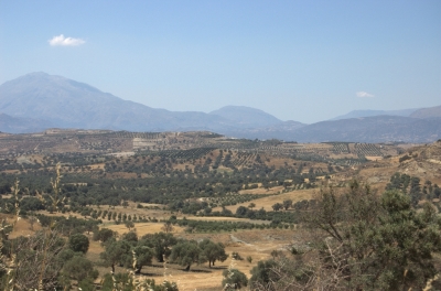 DSC_0135.jpg