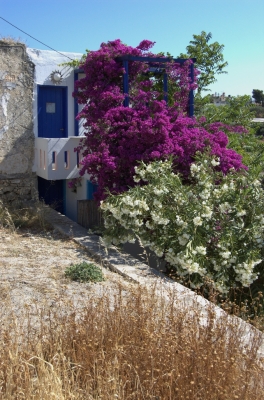 DSC_0136.jpg