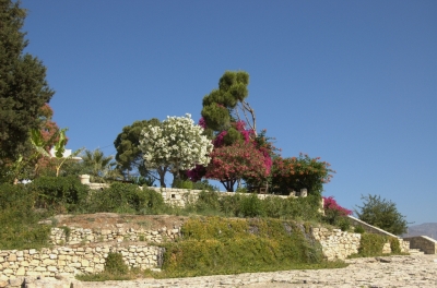 DSC_0140.jpg