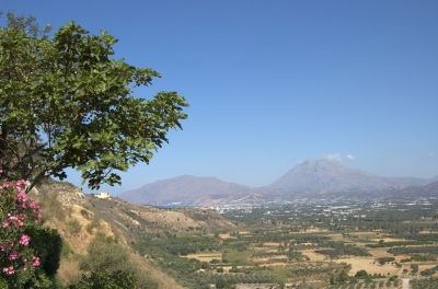 DSC_0152.jpg