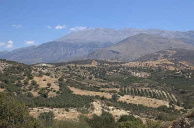 DSC_0154.jpg