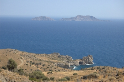 DSC_0157.jpg