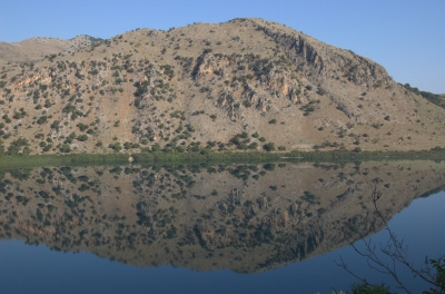 DSC_0177.jpg