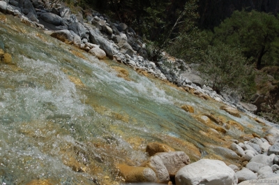 DSC_7704.jpg