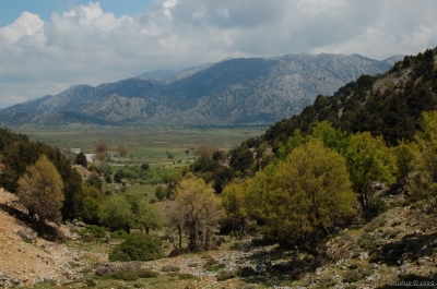 a hle Omlos (nhorn planina ca. 1100 m.n.m.)
