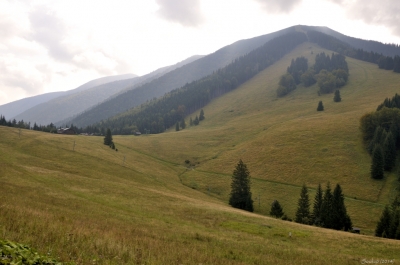 _DSC9504.jpg