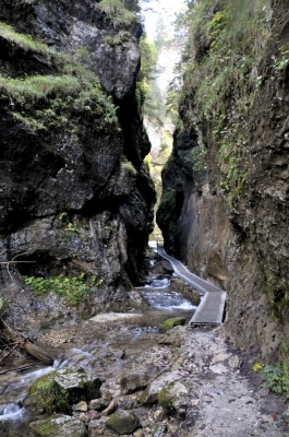 _DSC9578.jpg