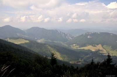 _DSC9596.jpg