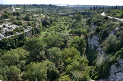DSC_1777.jpg