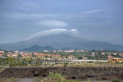 DSC_1835.jpg