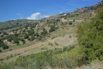 DSC_1914.jpg