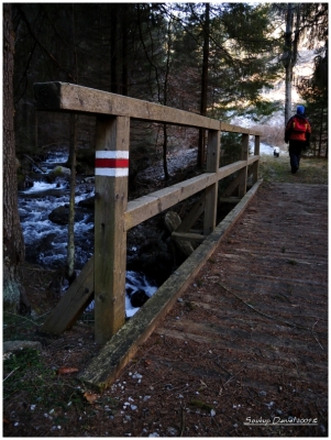 dscn0487.jpg