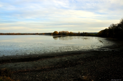 _dsc8578.jpg