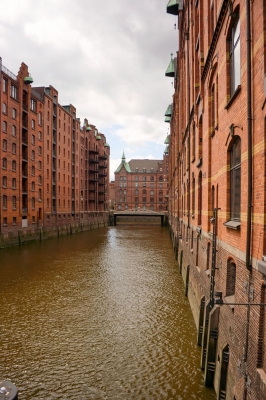 DSC_7312.jpg