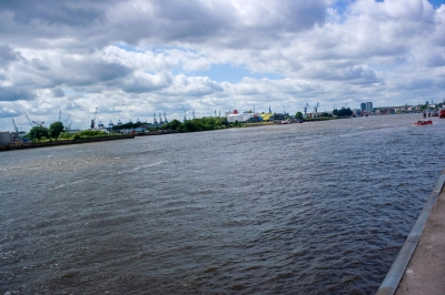 DSC_7319.jpg
