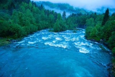 DSC_7371.jpg