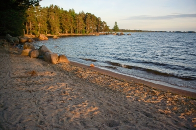DSC_7436.jpg